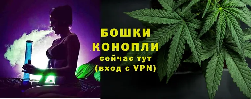 как найти   Заозёрный  Конопля THC 21% 